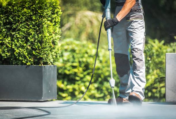 Best Warehouse Cleaning  in Park City, MT