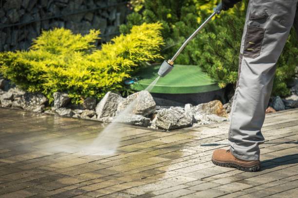 Best Solar Panel Cleaning  in Park City, MT