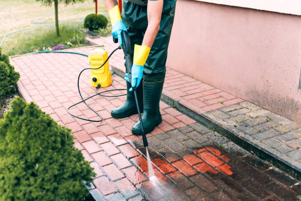 Best Graffiti Removal  in Park City, MT